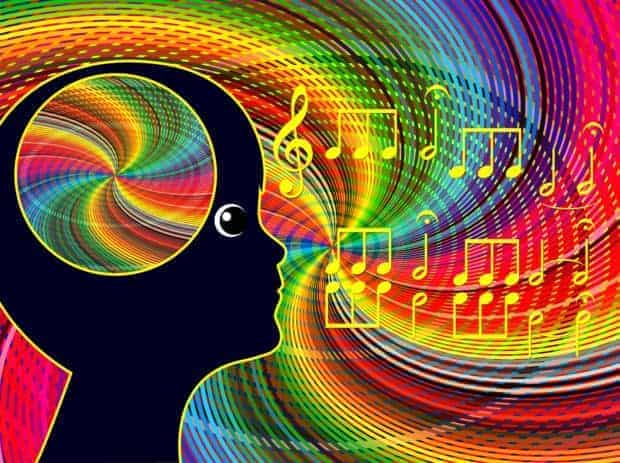 Brain Processing Music||