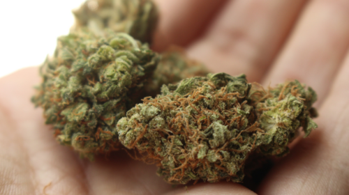 Detox From Weed|Marijuana Detox